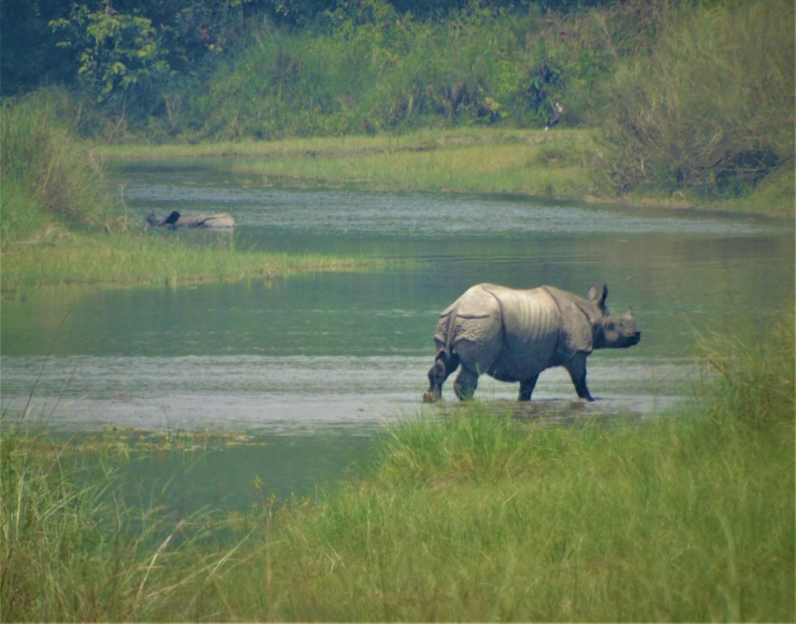 Mango Tree Lodge Bardiya Kültér fotó