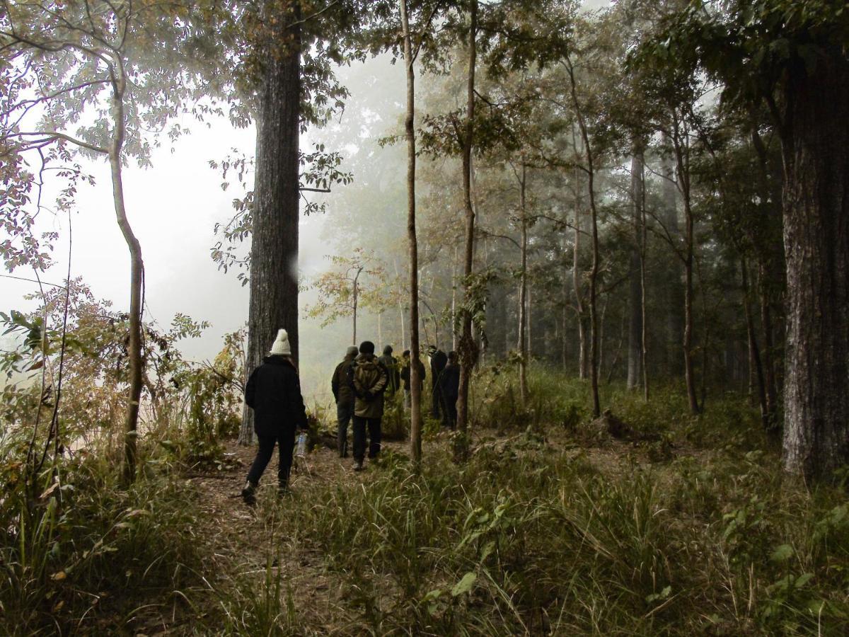 Mango Tree Lodge Bardiya Kültér fotó