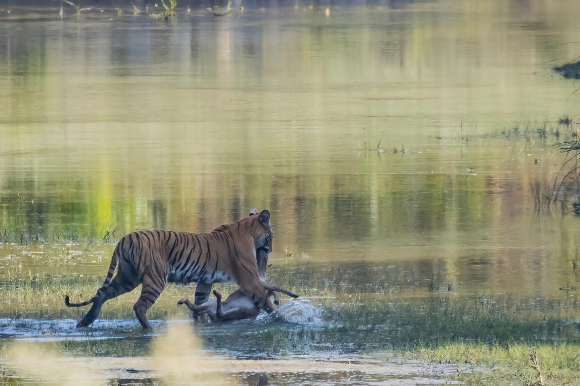 Mango Tree Lodge Bardiya Kültér fotó
